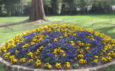 Therapiegarten